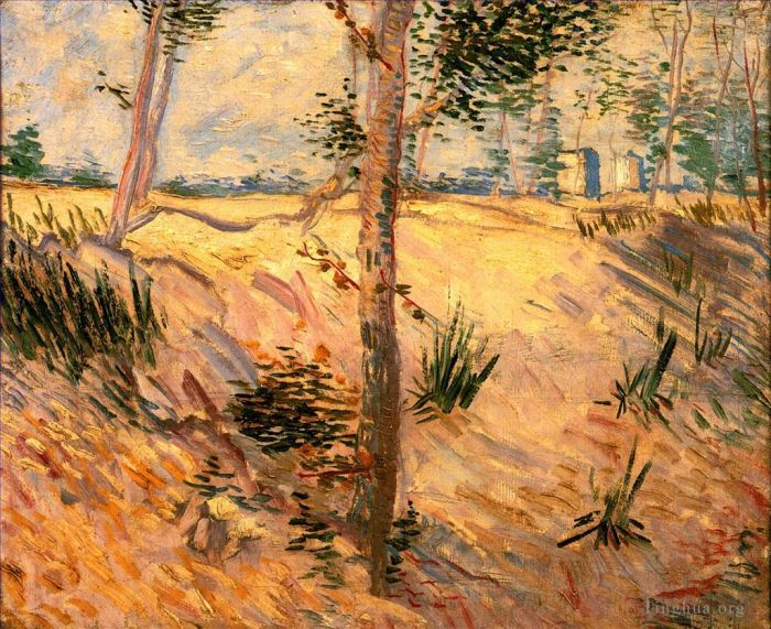 Vincent van Gogh Oil Painting - Trees in a Field on a Sunny Day