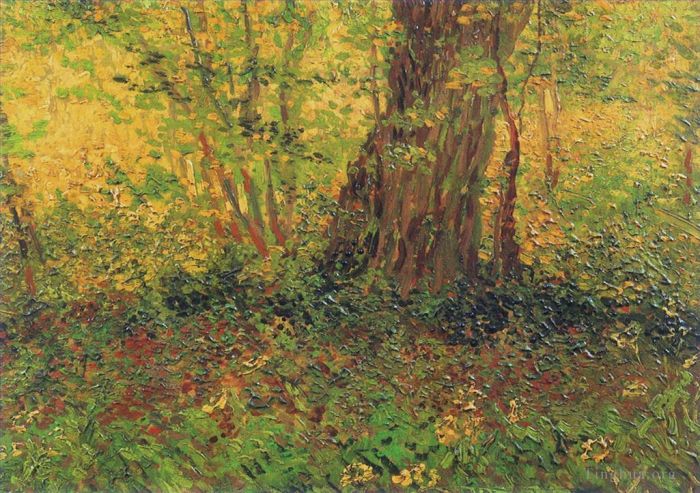 Vincent van Gogh Oil Painting - Undergrowth