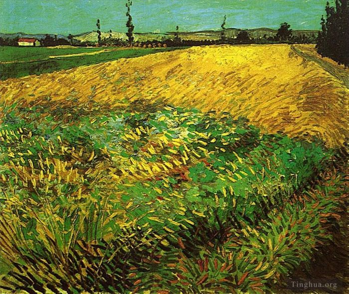 Vincent van Gogh Oil Painting - Wheat Field with the Alpilles Foothills in the Background