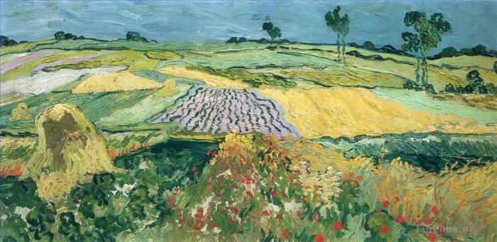 Vincent van Gogh Oil Painting - Wheatfields