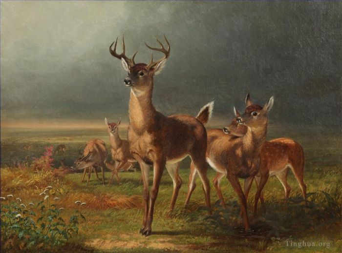 William Holbrook Beard Oil Painting - Deer On The Prairie