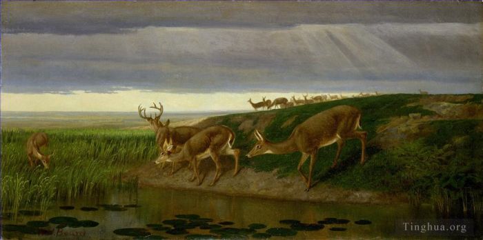 William Holbrook Beard Oil Painting - Deer_on_the_Prairie