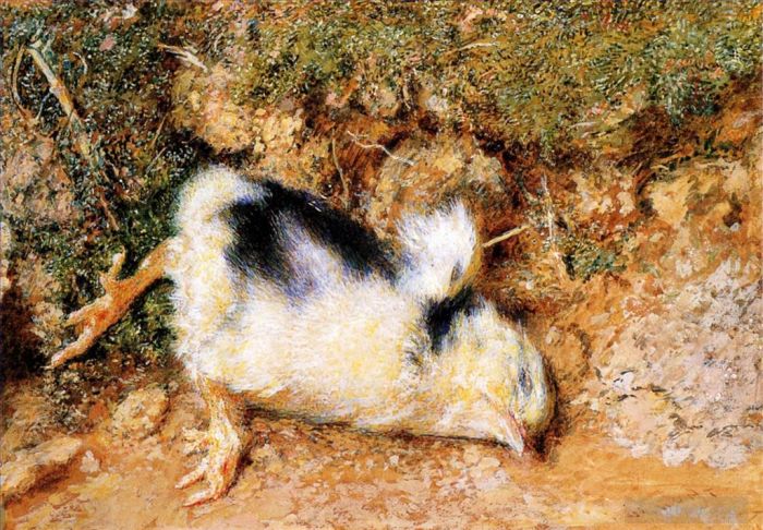 William Holman Hunt Oil Painting - John Ruskins dead chick