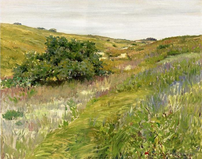 William Merritt Chase Oil Painting - Landscape Shinnecock Hills