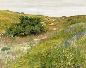Artist William Merritt Chase's Work - Landscape Shinnecock Hills