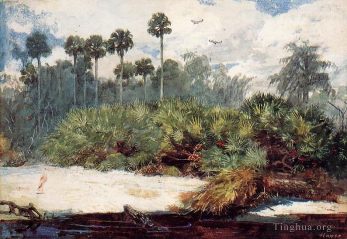 Winslow Homer Oil Painting - In a Florida Jungle