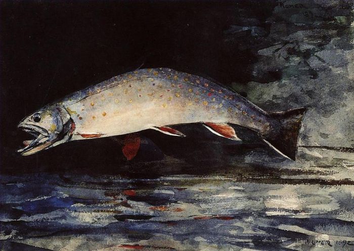 Winslow Homer Various Paintings - A Brook Trout