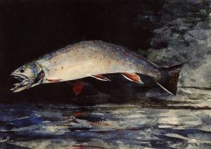 Artist Winslow Homer's Work - A Brook Trout
