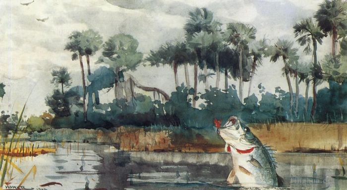 Winslow Homer Various Paintings - Black Bass Florida