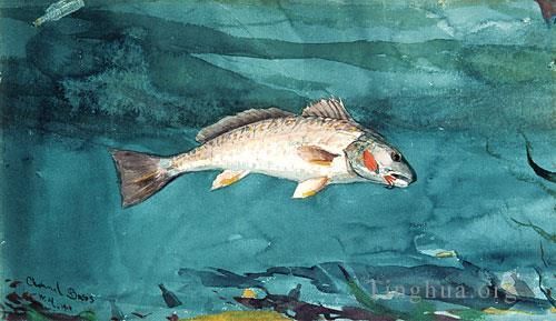 Winslow Homer Various Paintings - Channel Bass