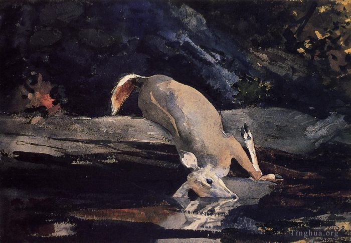 Winslow Homer Various Paintings - Fallen Deer