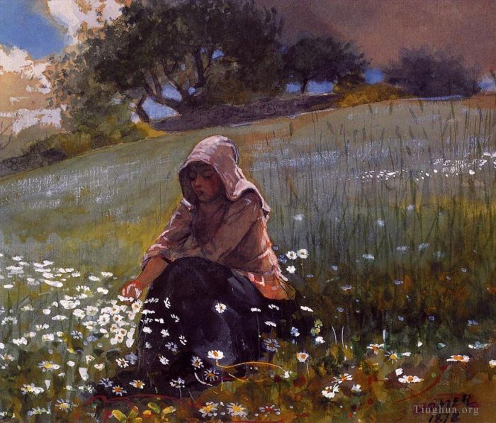Winslow Homer Various Paintings - Girl and Daisies
