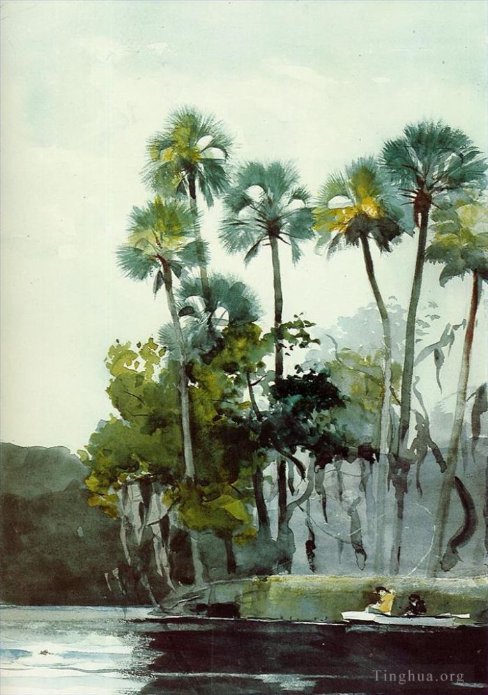 Winslow Homer Various Paintings - Homosassa River