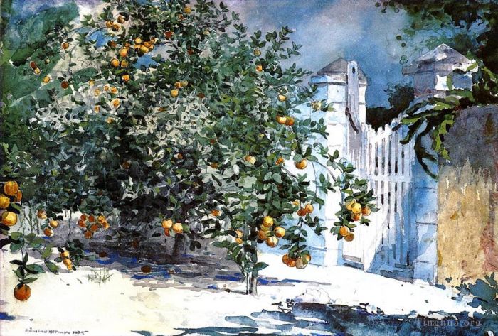 Winslow Homer Various Paintings - Orange Tree Nassau aka Orange Trees and Gate
