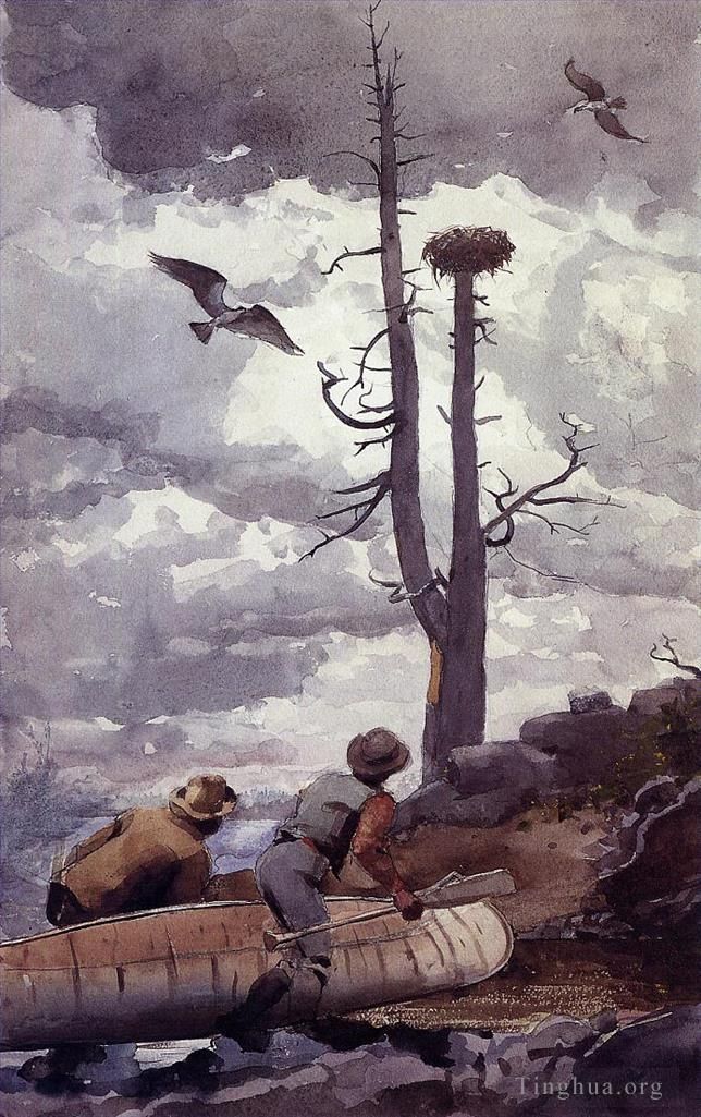 Winslow Homer Various Paintings - Ospreys Nest